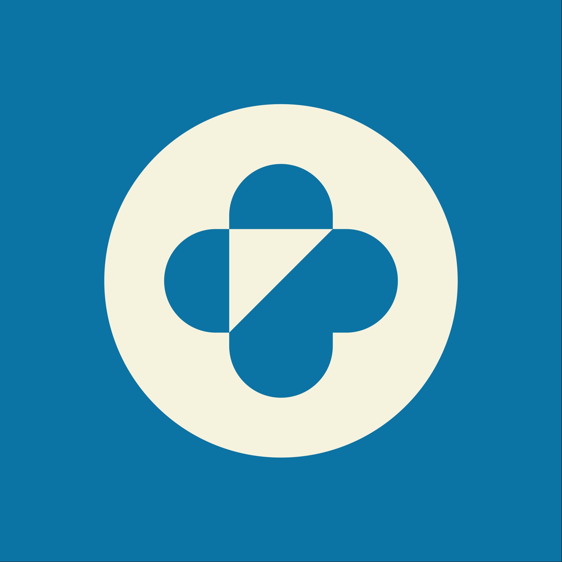 Organisation Logo